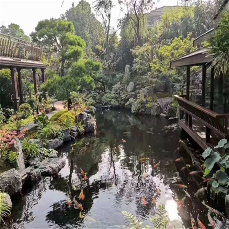 吉林小庭院假山鱼池